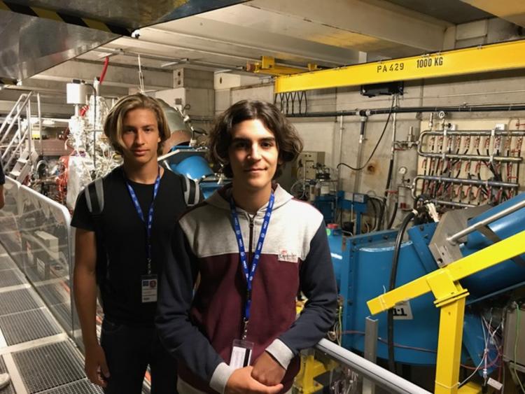 Work Experience at CERN