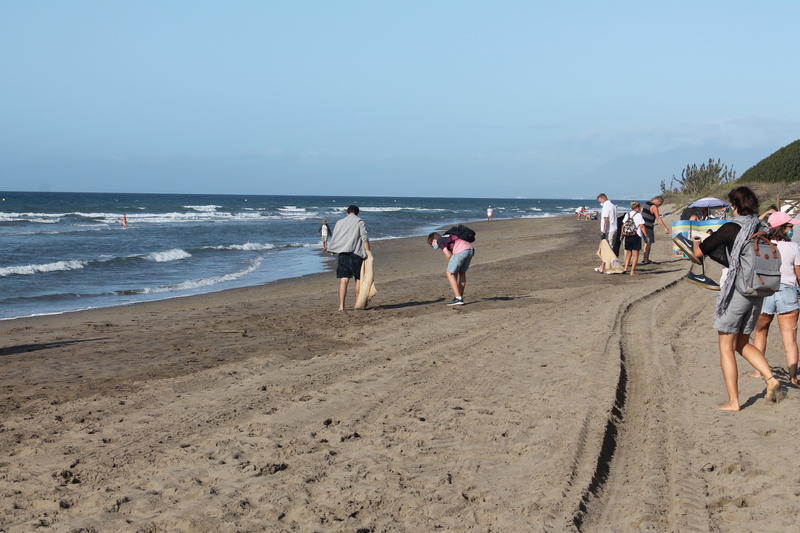 Beach clean 5.jpeg