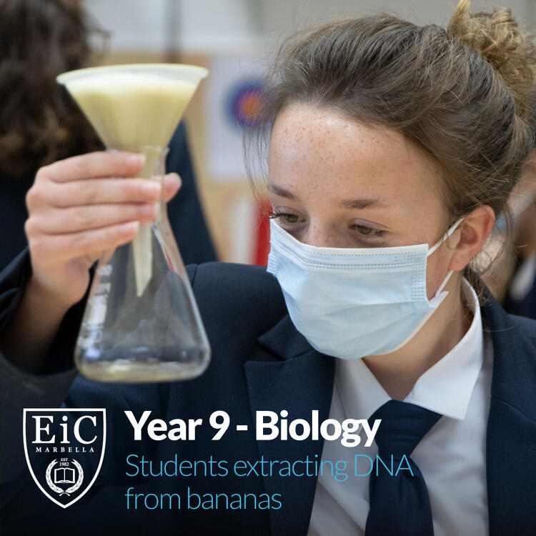 Year 9 Biology Students Extracted DNA from Bananas