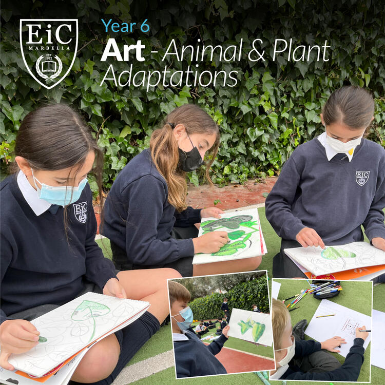 Year 6 are learning about animal and plant adaptations