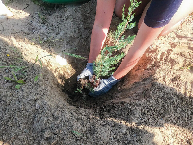 Year 9 Reforestation with ProDunas