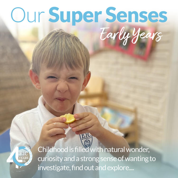 Our Super Senses - Early Years