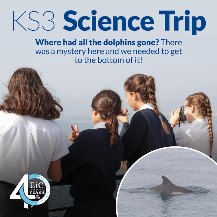 KS3 Science Trip - Where had all the dolphins gone?