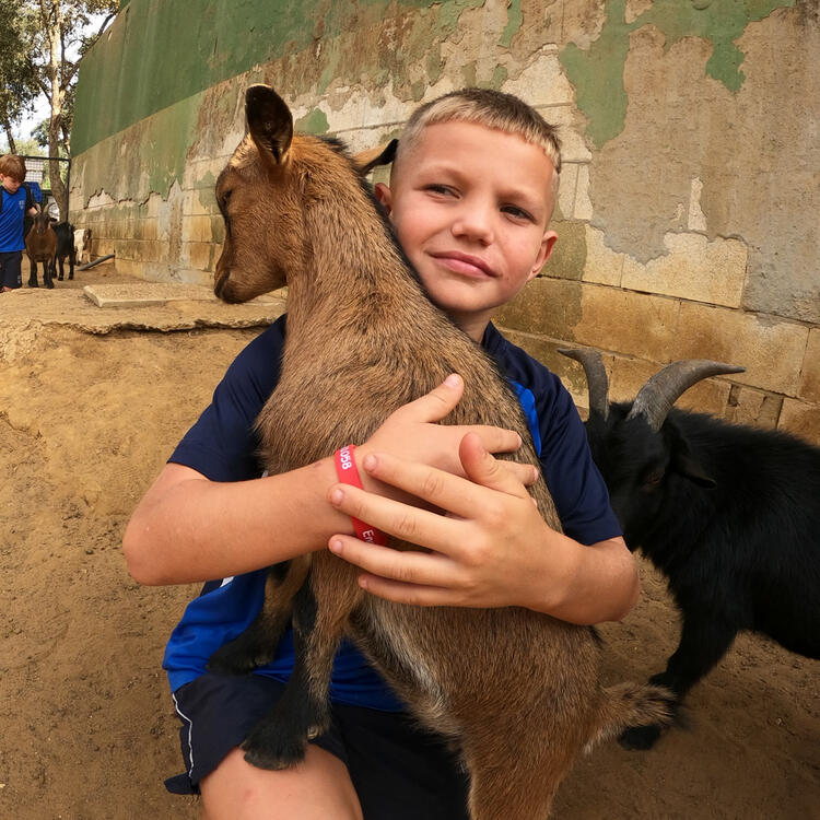 Year 4 Had a Fantastic Day out at Castellar Zoo