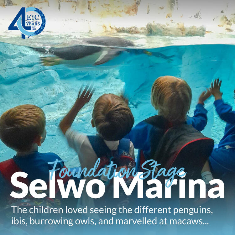 The Foundation Stage children all enjoyed a fabulous day out at Selwo Marina