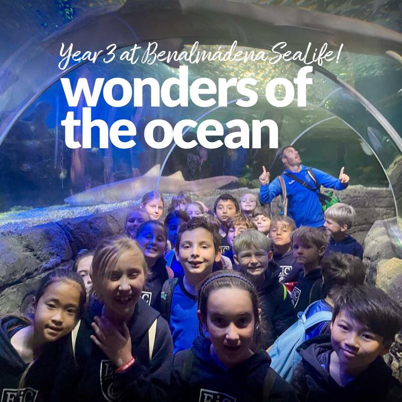 year-3-sealife-benalmadena.jpg