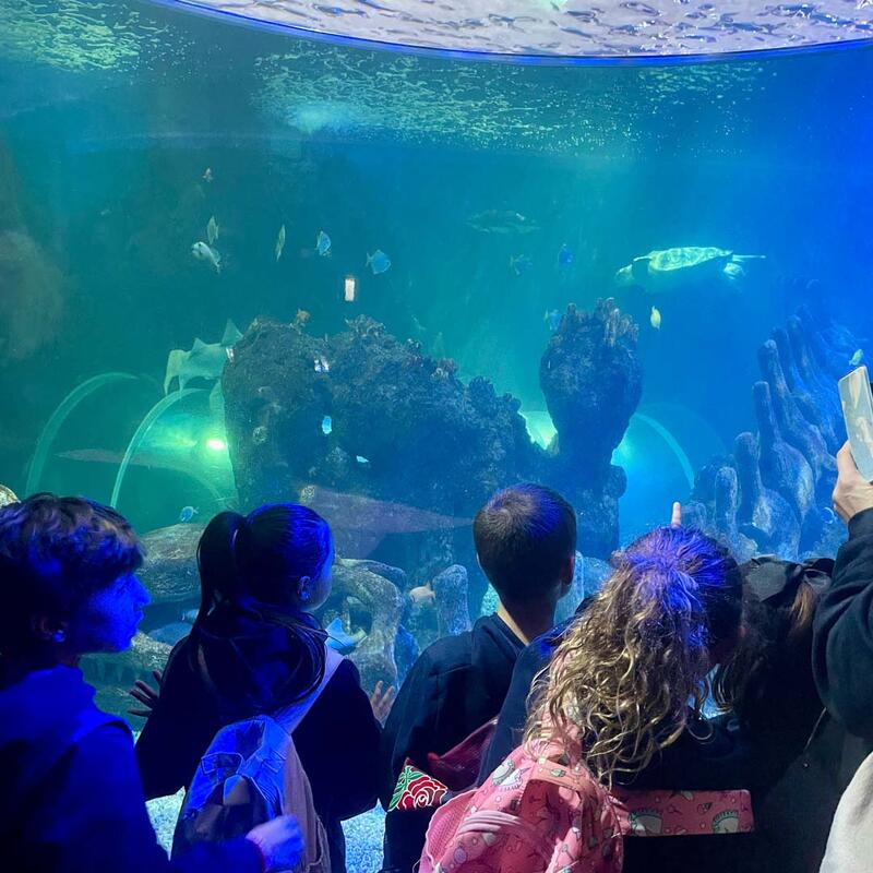 year-3-sealife-benalmadena-4.jpg