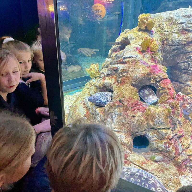 year-3-sealife-benalmadena-3.jpg
