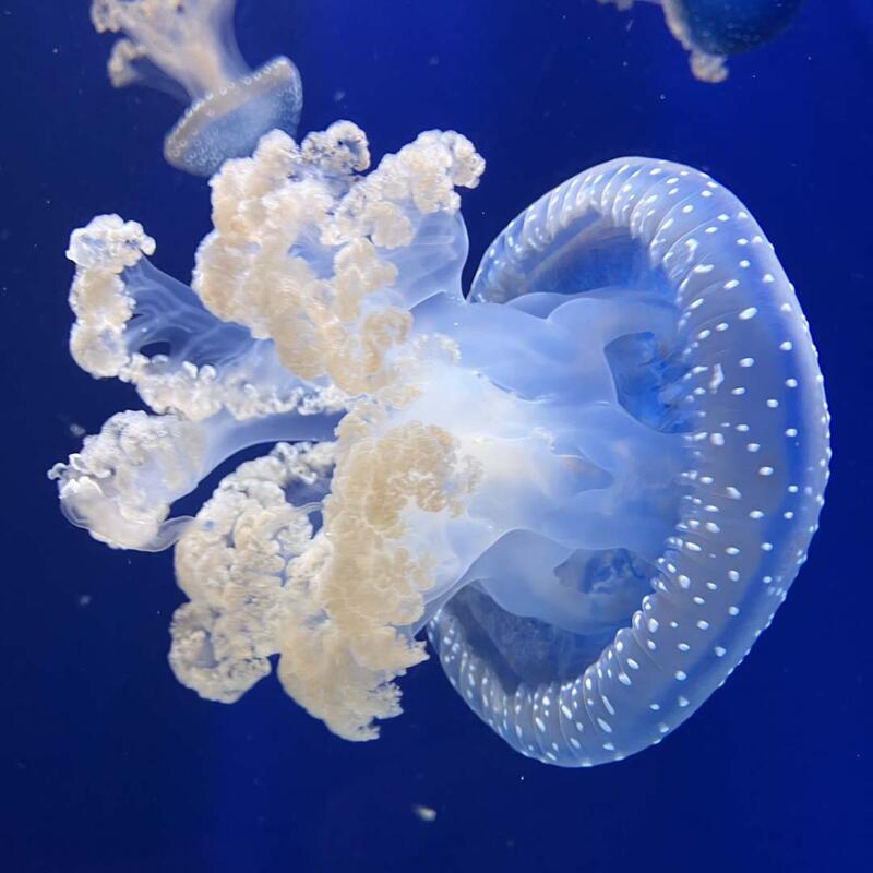 Science-museum-4.jpg