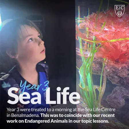 /assets/media/images/articles/2024/March/YEAR-3-SEALIFE-14.jpg