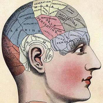 Psychology