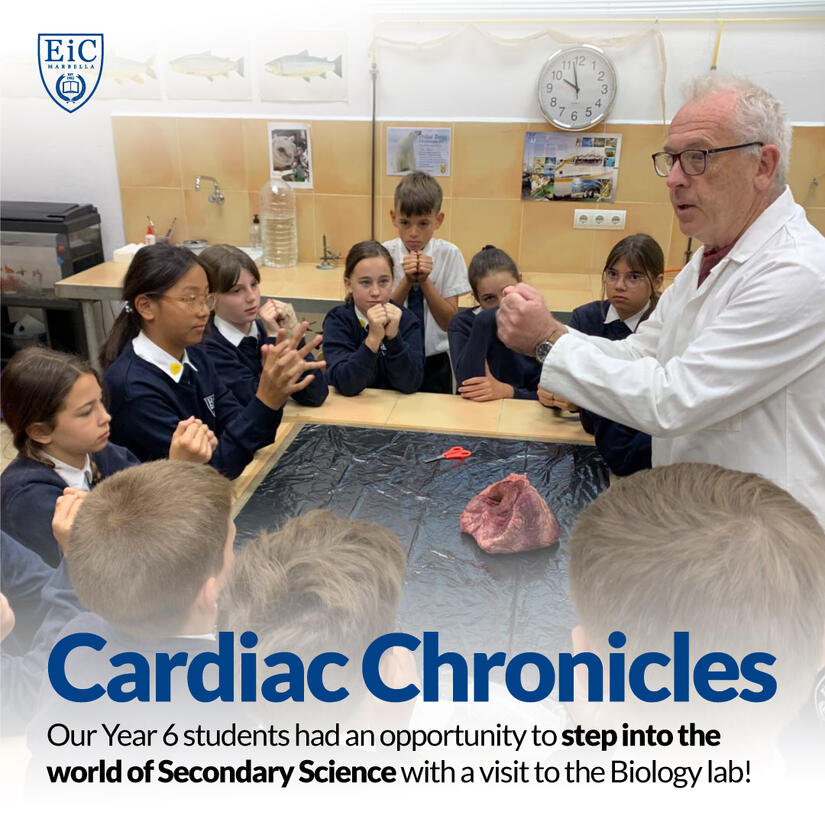 Cardiac Chronicles: A Deep Dive into the Biology of the Heart