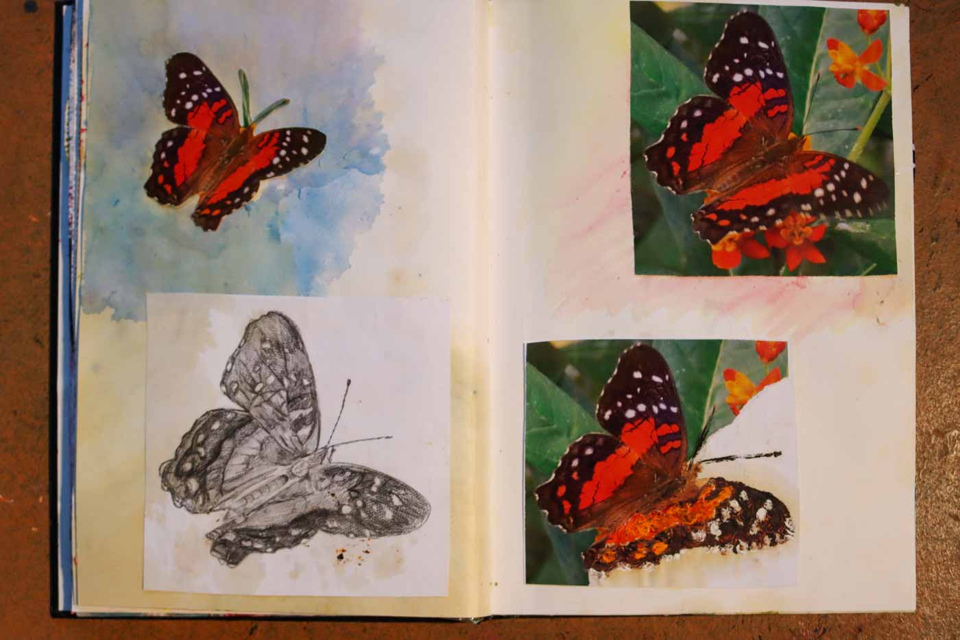 julie-butterflies--12.jpg