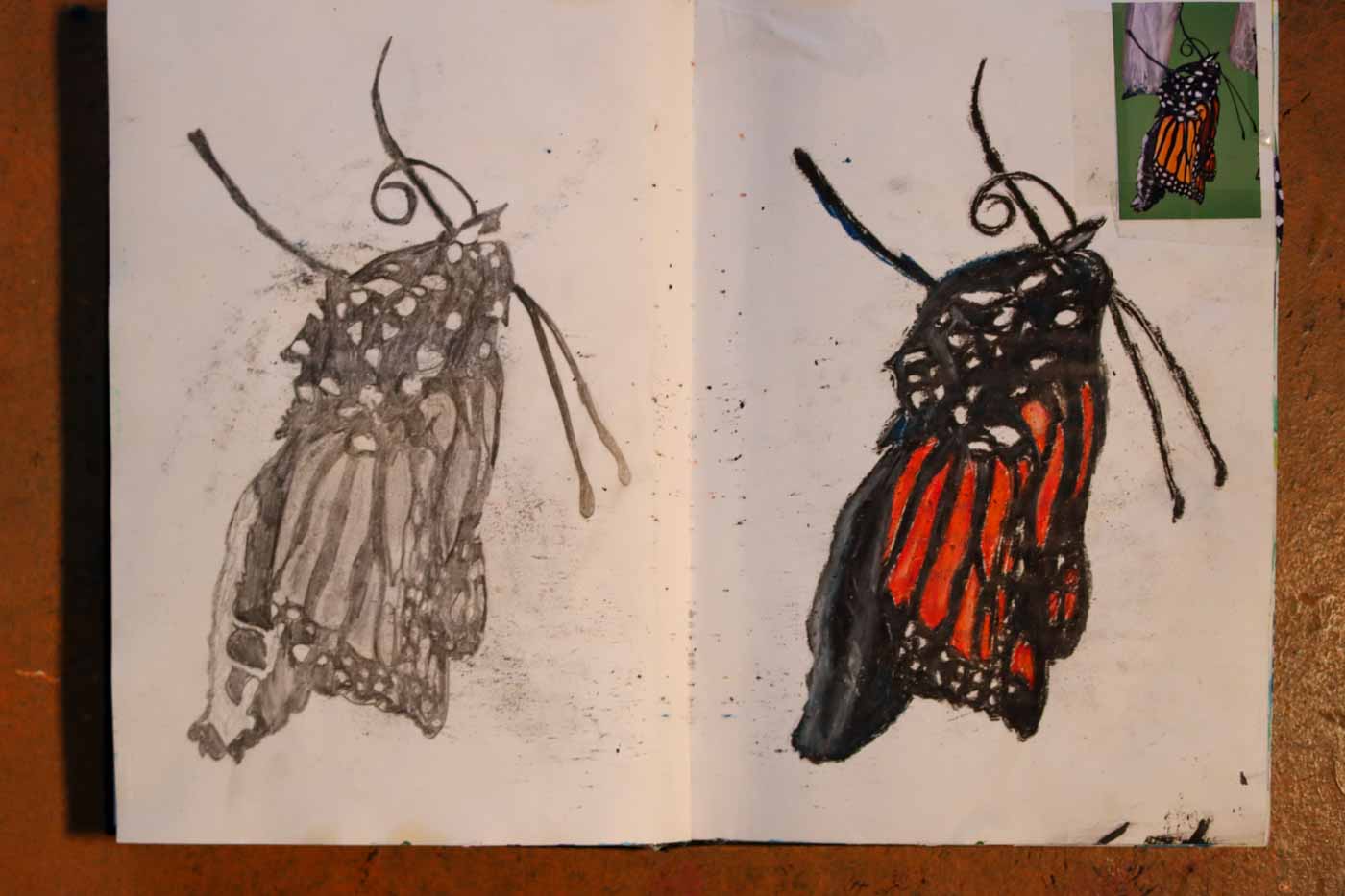 julie-butterflies--14.jpg