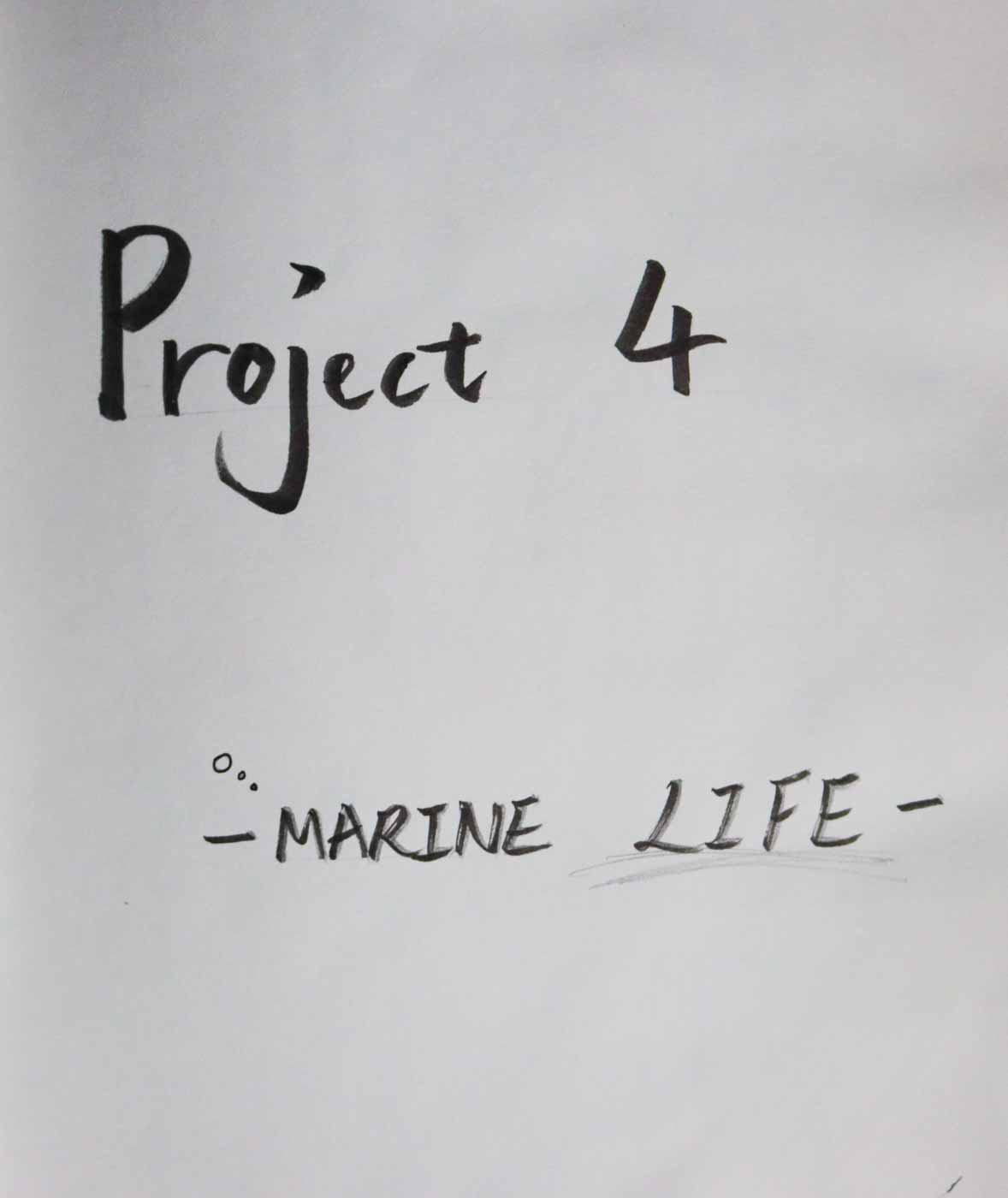 na-marine_life--02.jpg