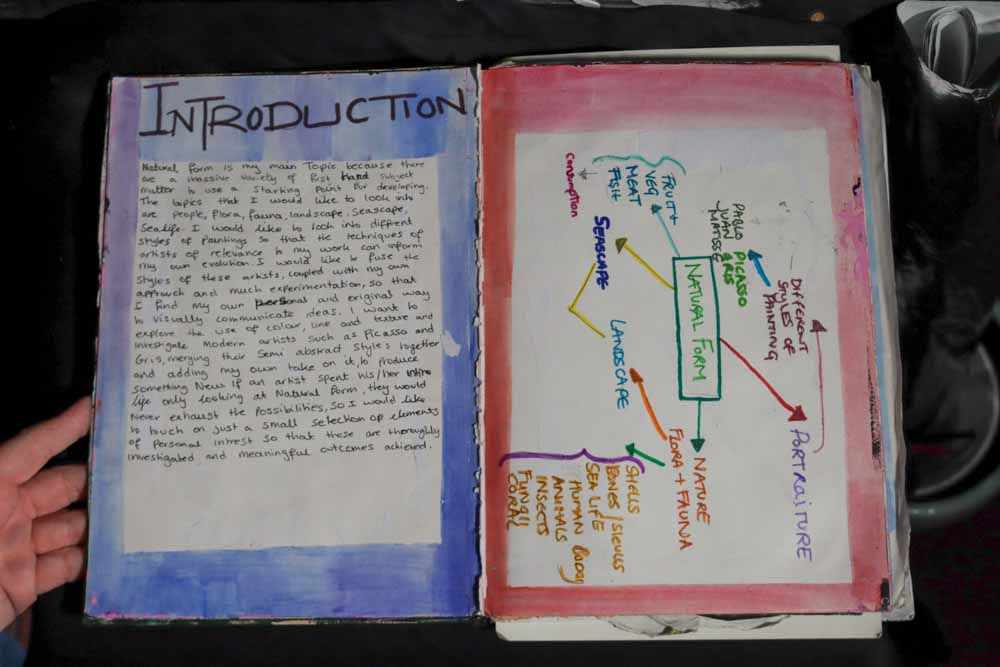 introduction and mind map-web.jpg