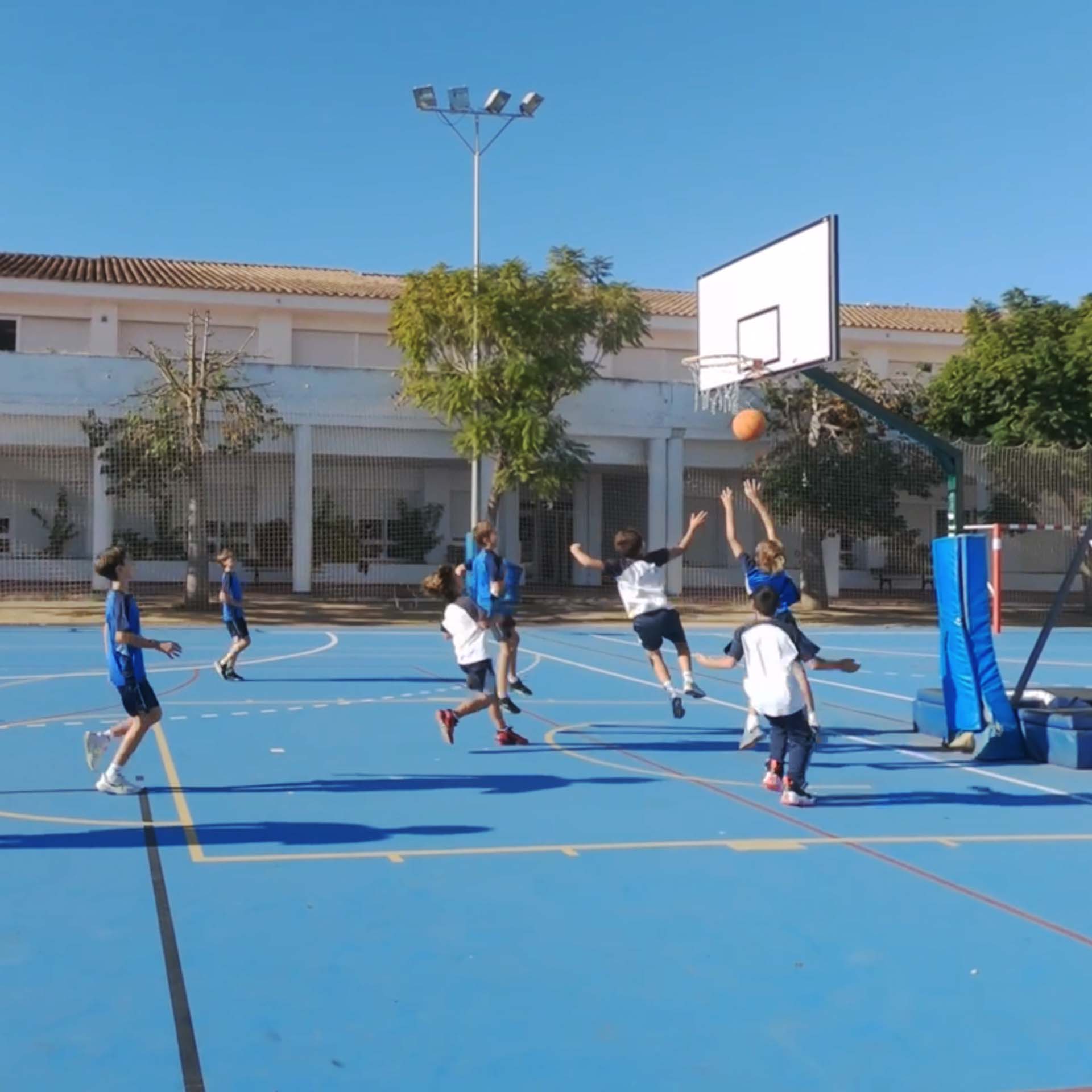 Year 7 Basketball